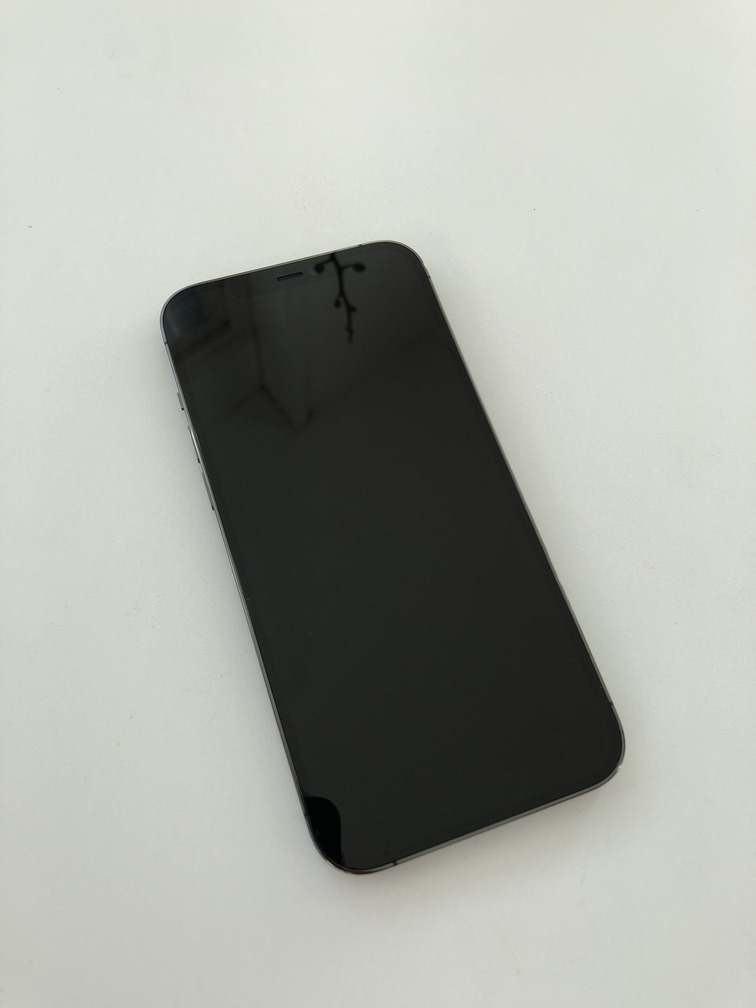 iPhone 12 Pro Max front